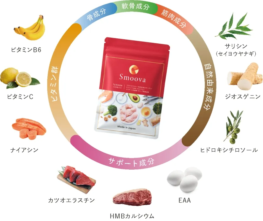 軟骨成分・筋肉成分・骨成分・サポート成分をひとつにまとめたスムーバの成分図