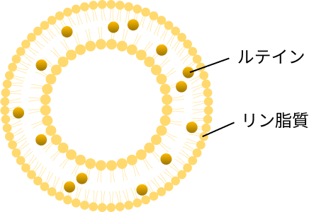 アイタス　EY 瞳のサプリメント 59包 point-pkg.875cb60c.png